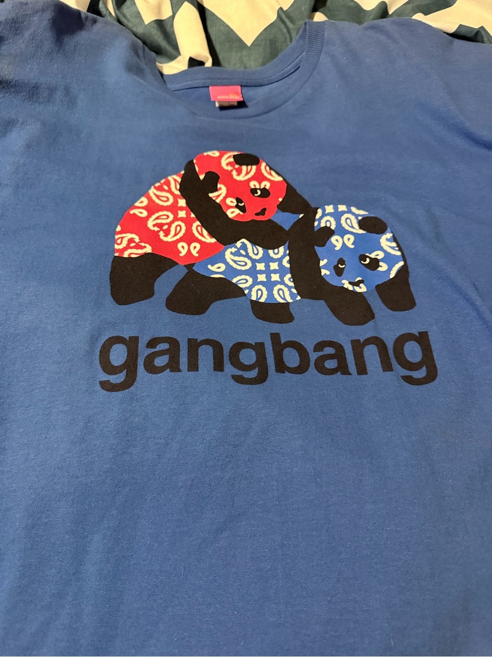 Mens VintageEnjoi Skateboarding Sz XL Blue Graphic Tee with Playful Panda Design